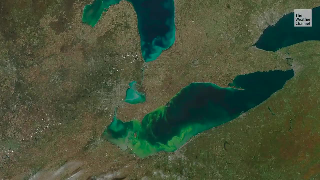 Toxic Algae Could Plague Lake Erie this Summer Toxic Algae Could Plague Lake Erie this Summer