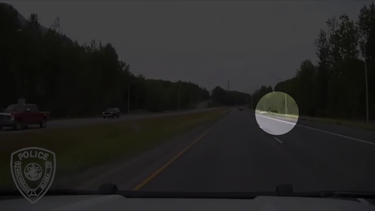 Watch NearMiss for Moose in Alaska Videos from The Weather Channel