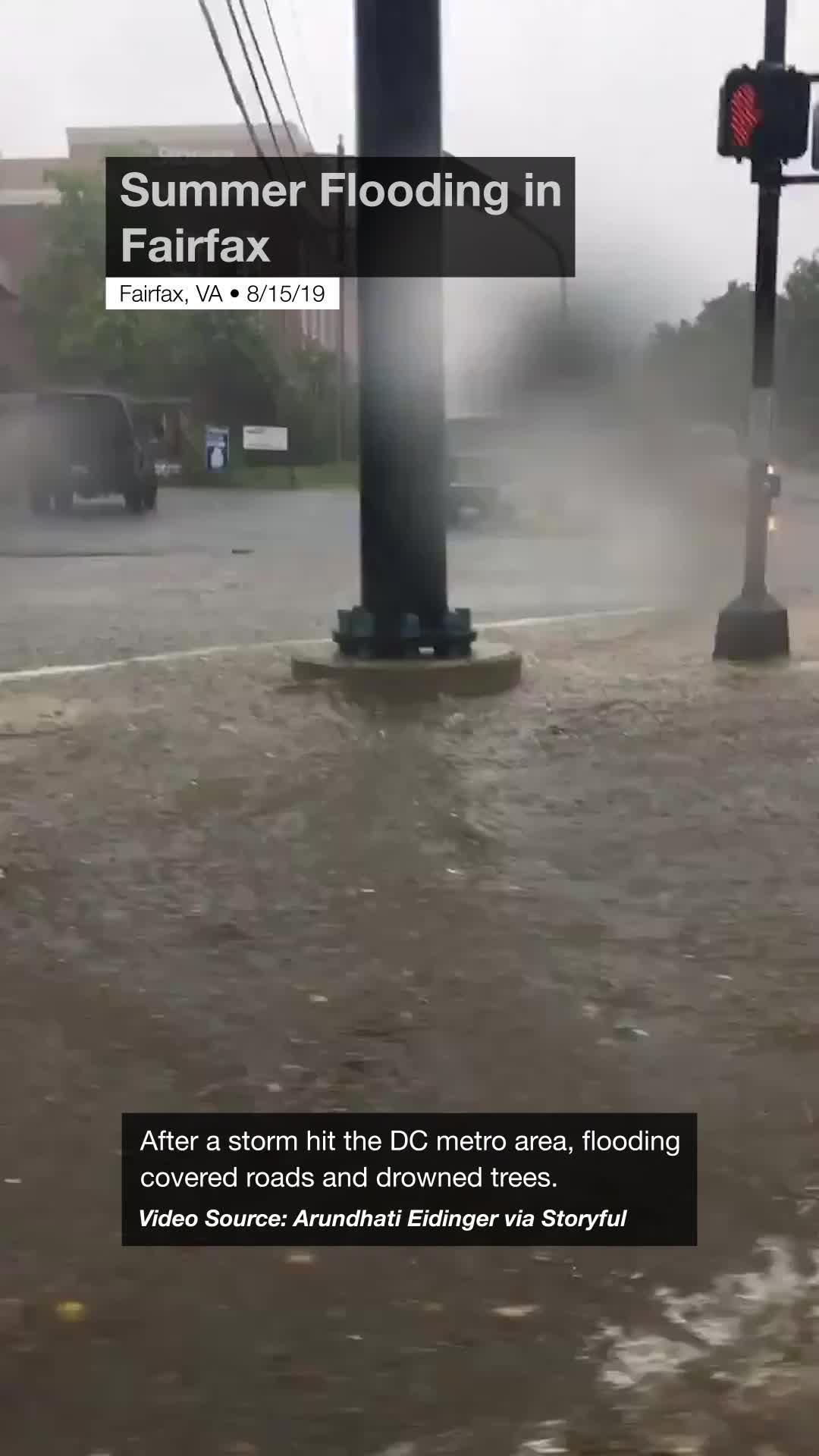 Summer Flooding in Fairfax Videos from The Weather Channel