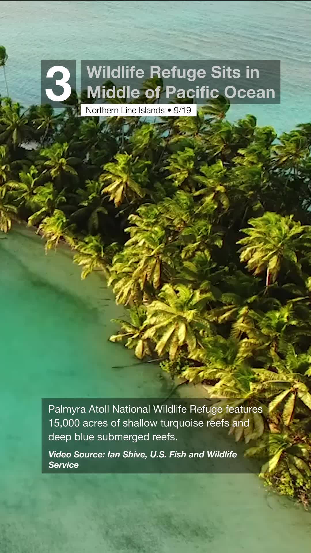Drone Surveys Palmyra Atoll National Wildlife Refuge Videos from The