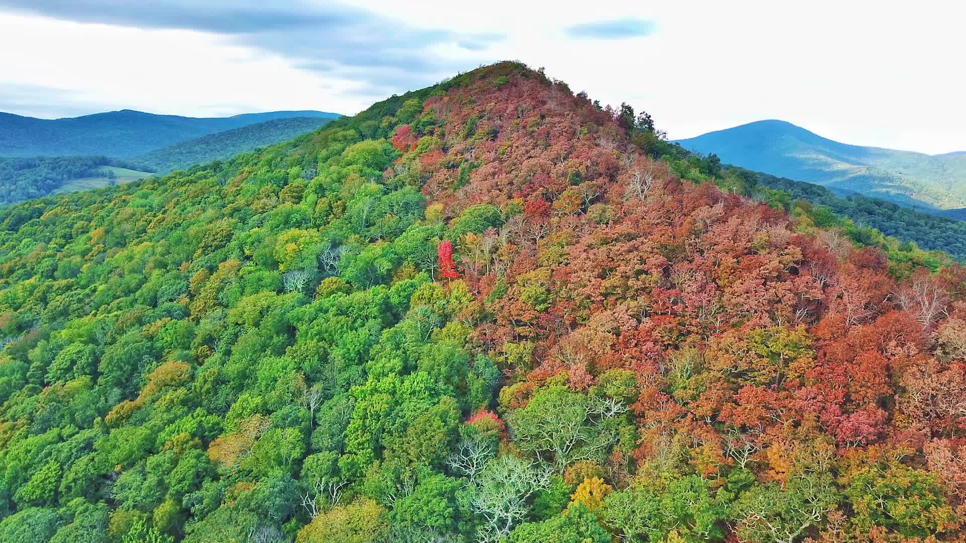 Strip of Color as Leaves Turn on NC Mountain - Videos from The Weather ...