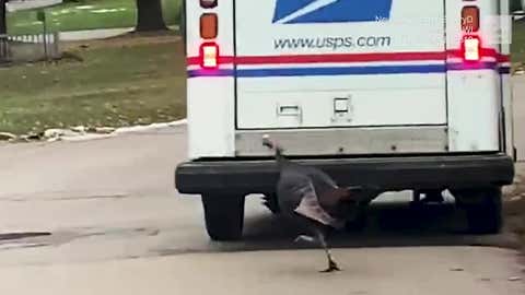 Where to go for thanksgiving in texas Where to go for thanksgiving in texas