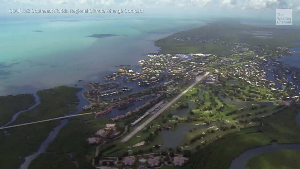 Florida Keys May Have to Abandon Roads Due to Rising Sea Levels