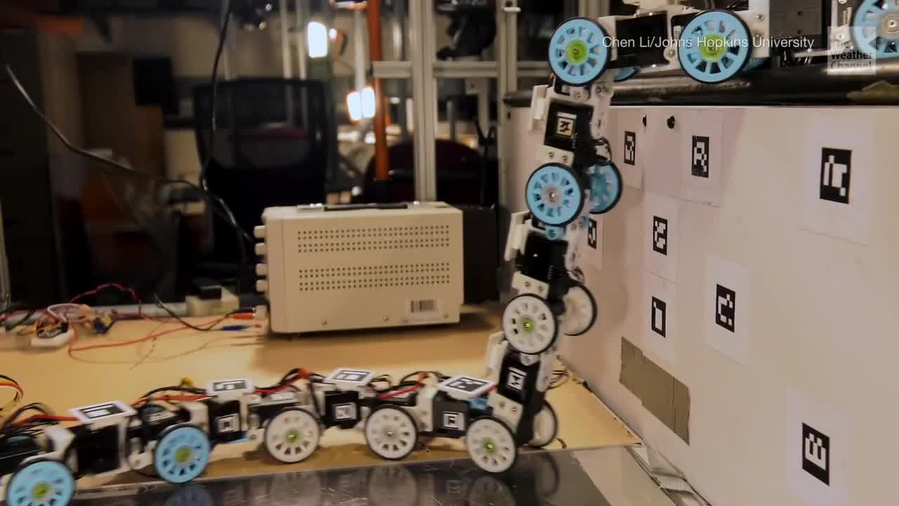 Robotic Snake Could Help Future Search and Rescue Missions - Videos ...