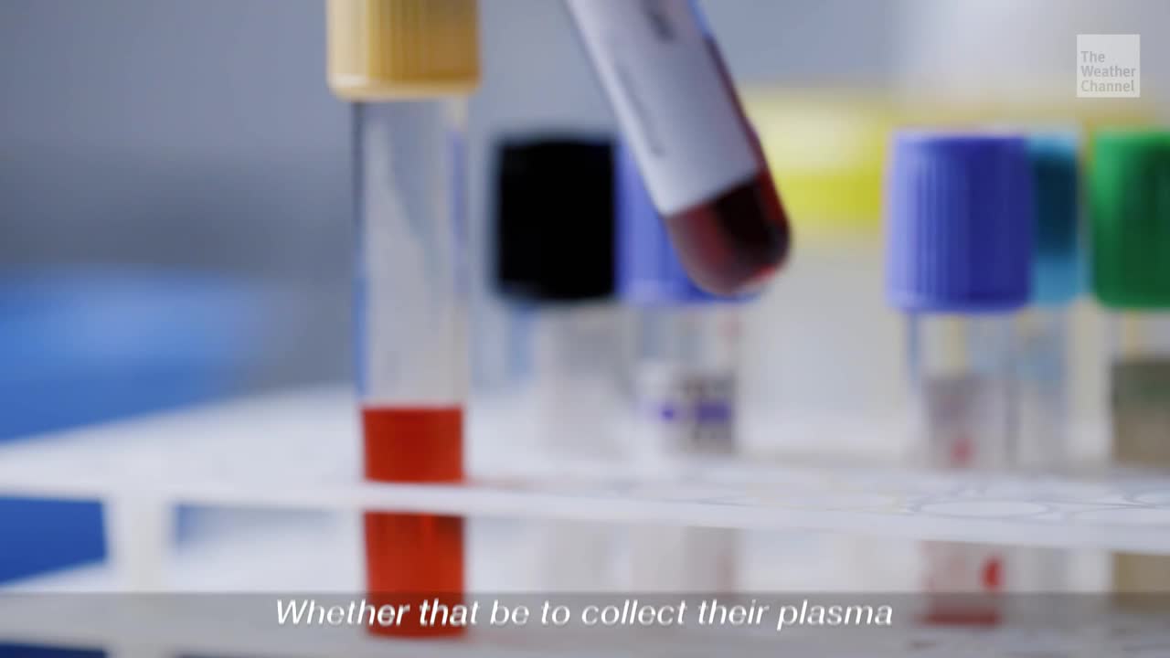 Antibody Test Could Be a Game Changer in Coronavirus Fight - Videos ...