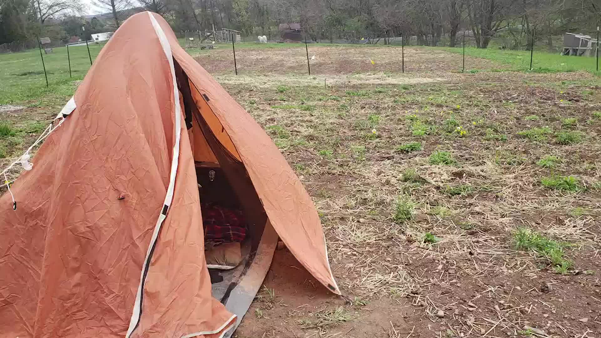 Remote Learning in a Tent - Videos from The Weather Channel