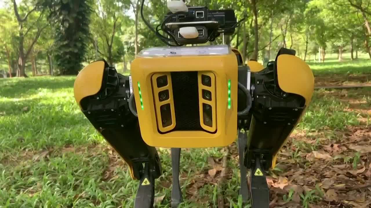 How Spot, the Social Distancing Dog is Helping Singapore Park Visitors Stay Safe