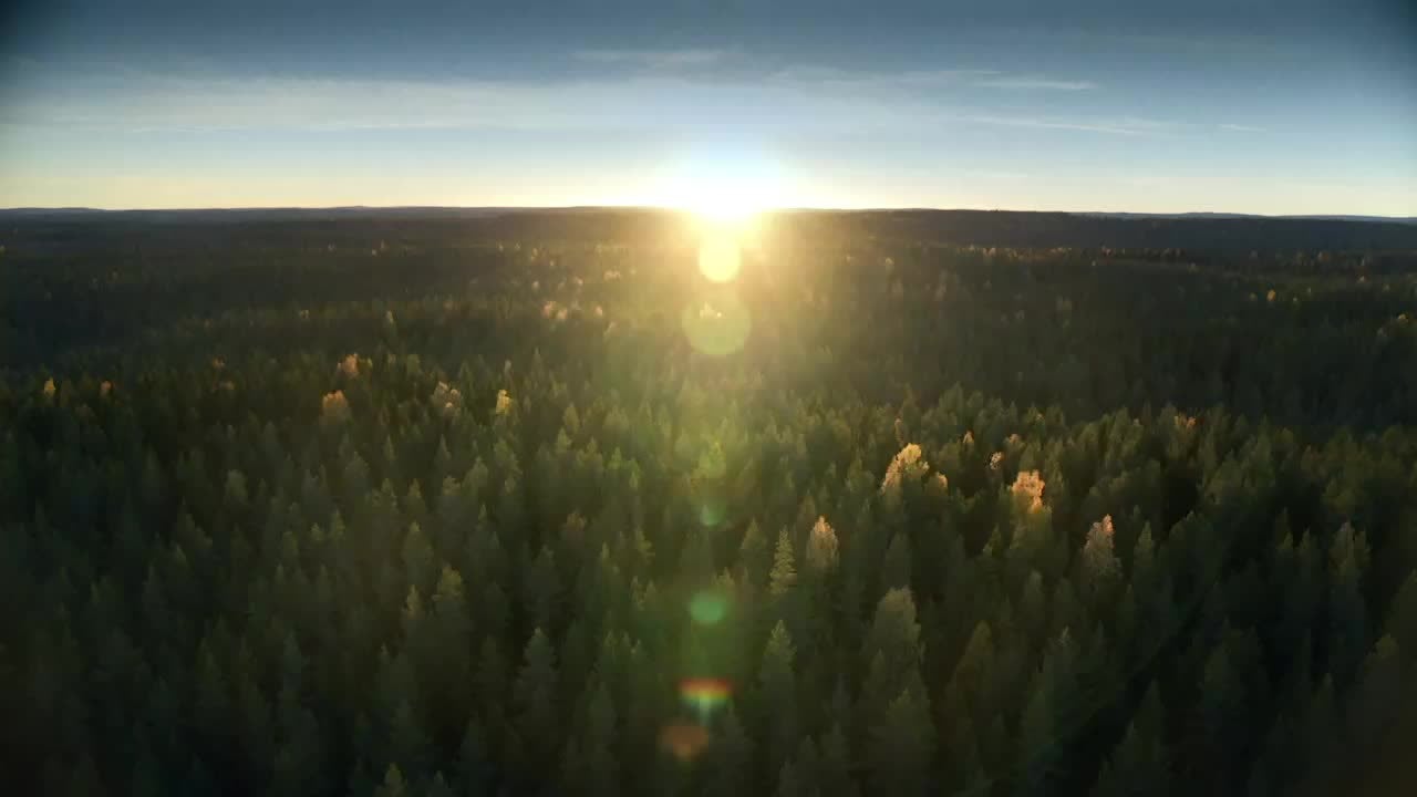 How IBM Watson Helps Predict Allergy Risk How IBM Watson Helps Predict Allergy Risk