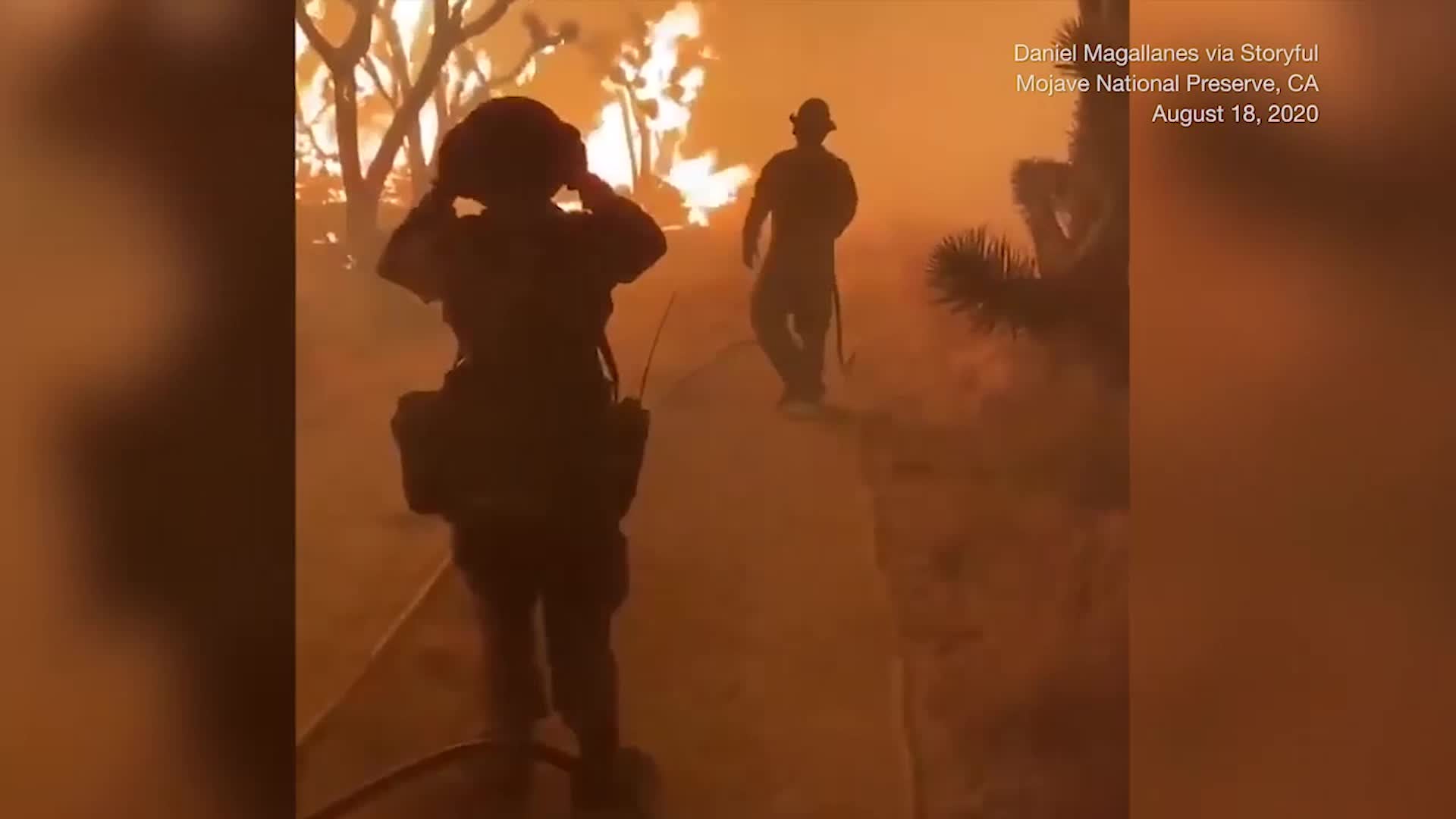 Emotional Moment as Joshua Trees Burn in California's Mojave National Preserve Videos from The