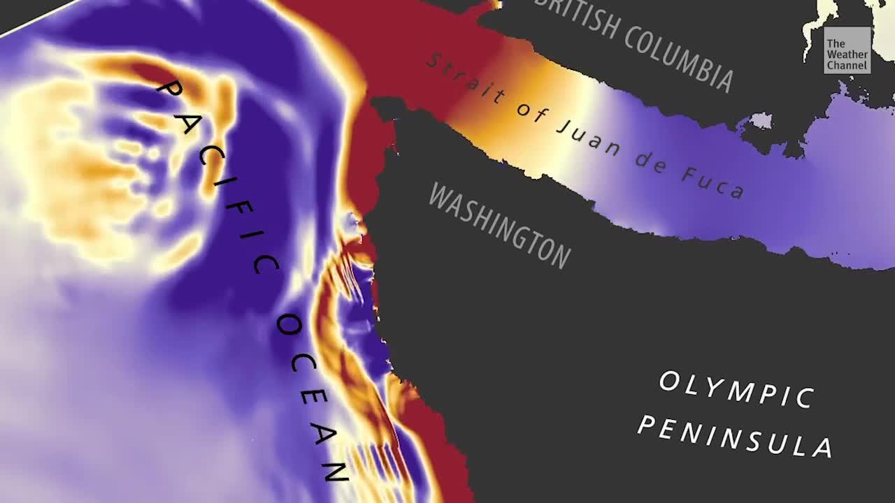 Washington tsunami simulation