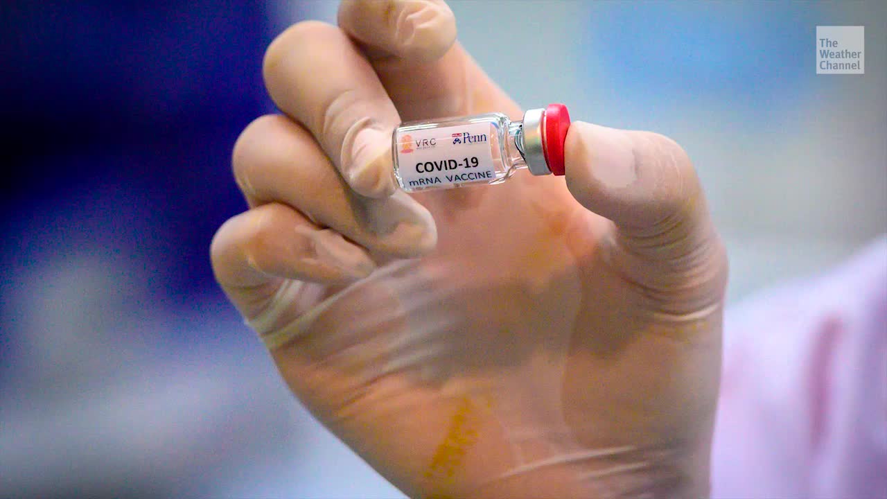 Research Monkey Shortage Stymies Search for COVID-19 Vaccine