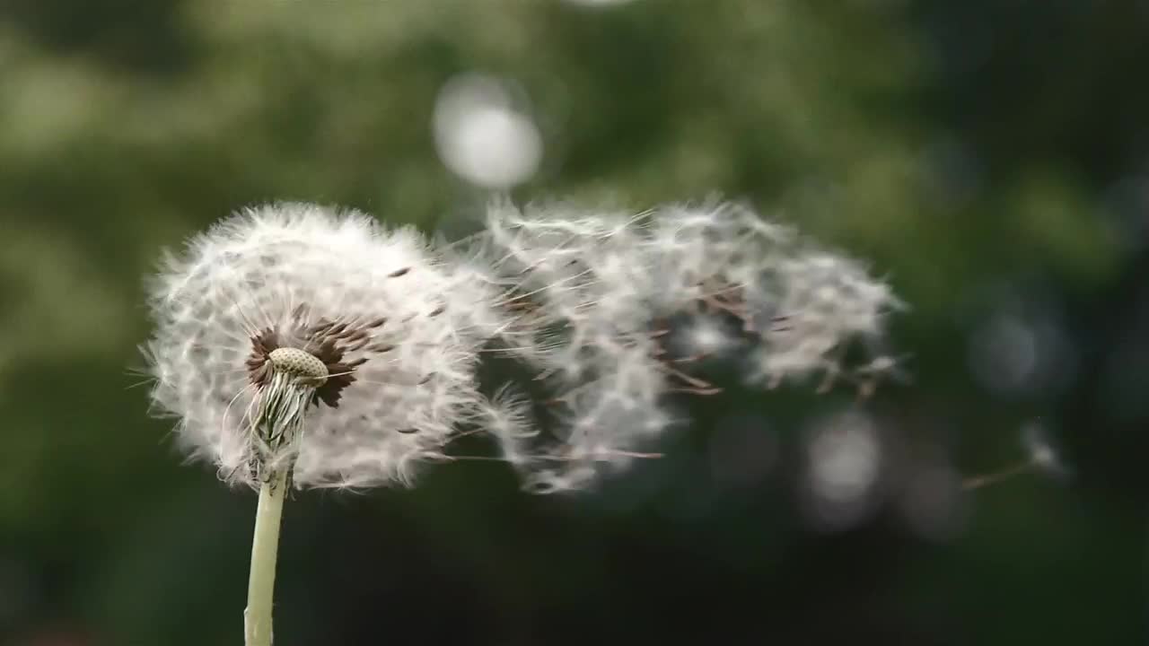 Pollen Count And Allergy Info For Buffalo Ny The Weather Channel Weather Com