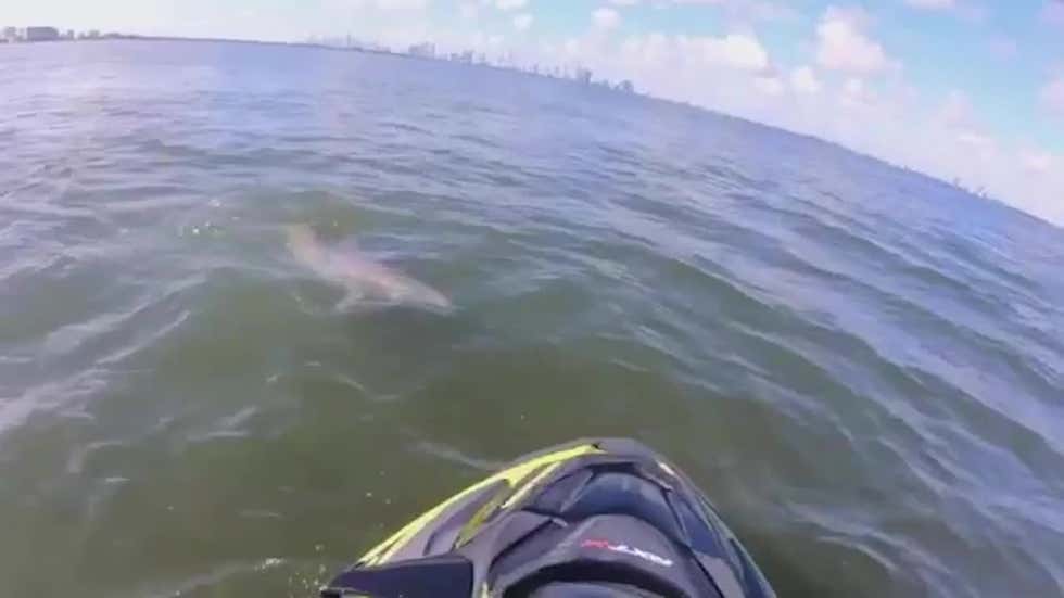 Crystal River, FL Weather Forecast and Conditions The Weather Channel