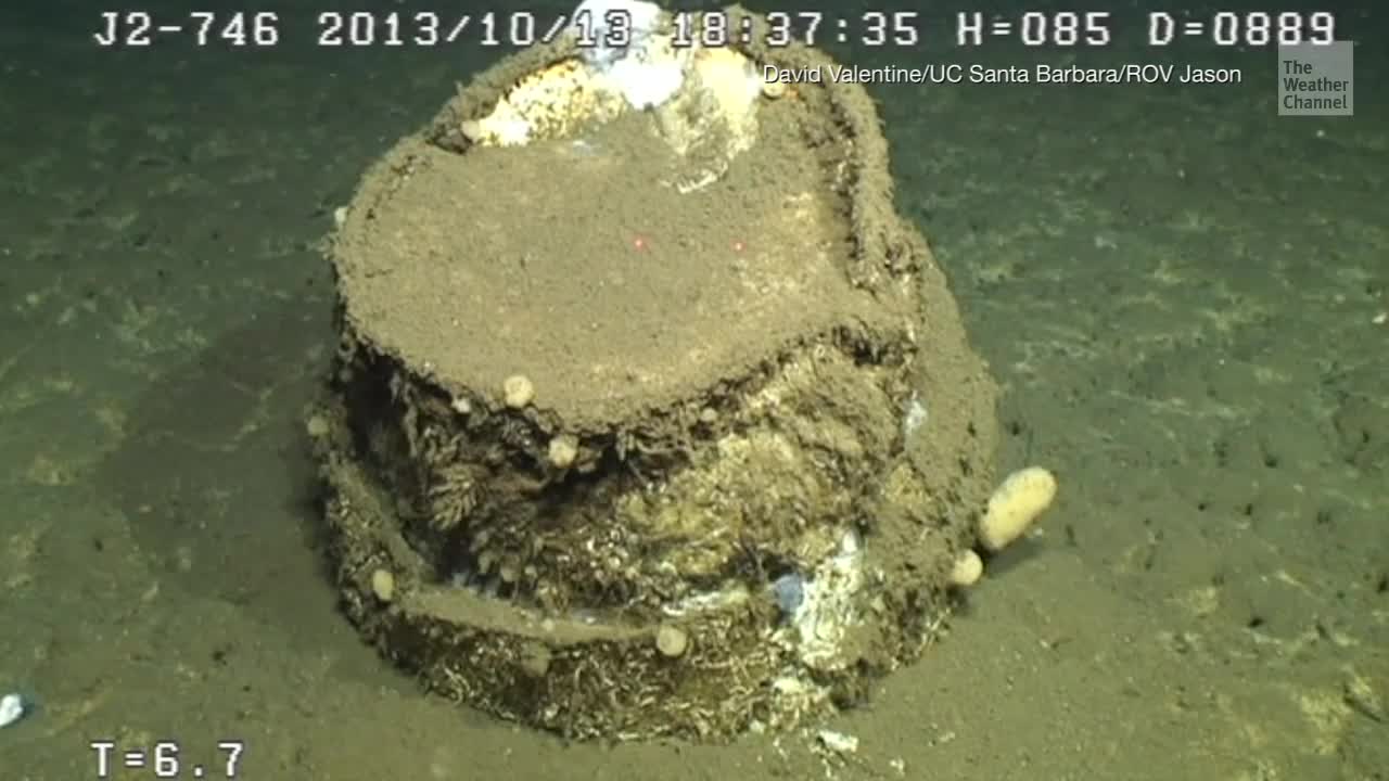 Toxic Waste Found Leaking off Coast of Los Angeles Videos from The