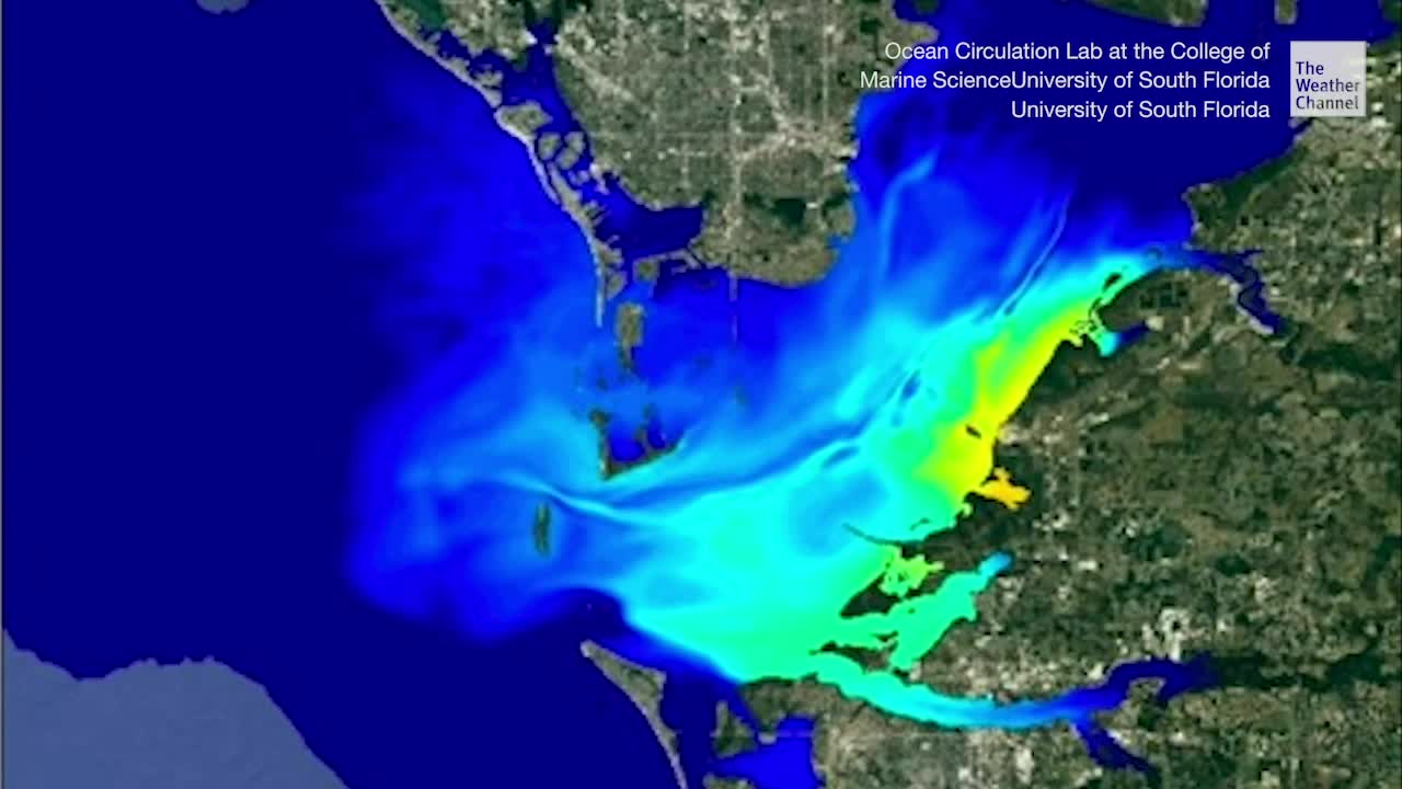 Group Models Discharge From Piney Point Videos from The Weather Channel