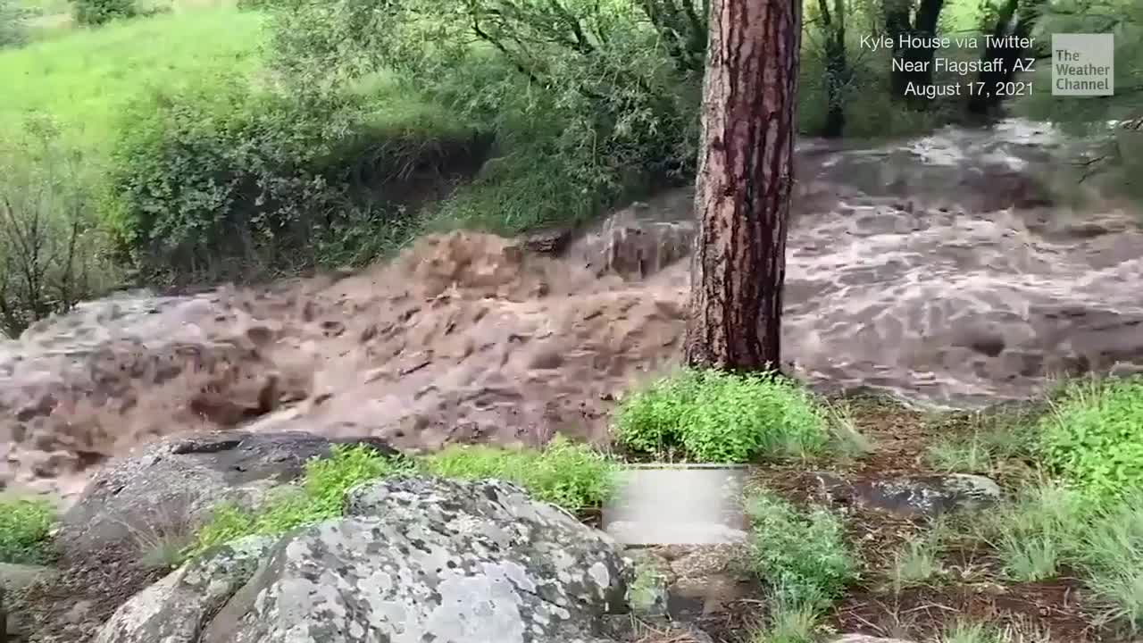 Heavy Rain Triggers Flash Flooding in Flagstaff Videos from The