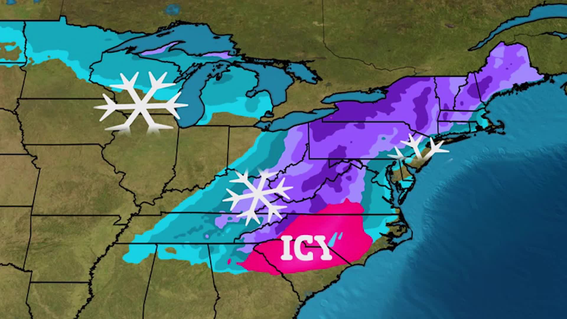 Amazon Rainforest Drying Out Due to Human Activity, Study Finds