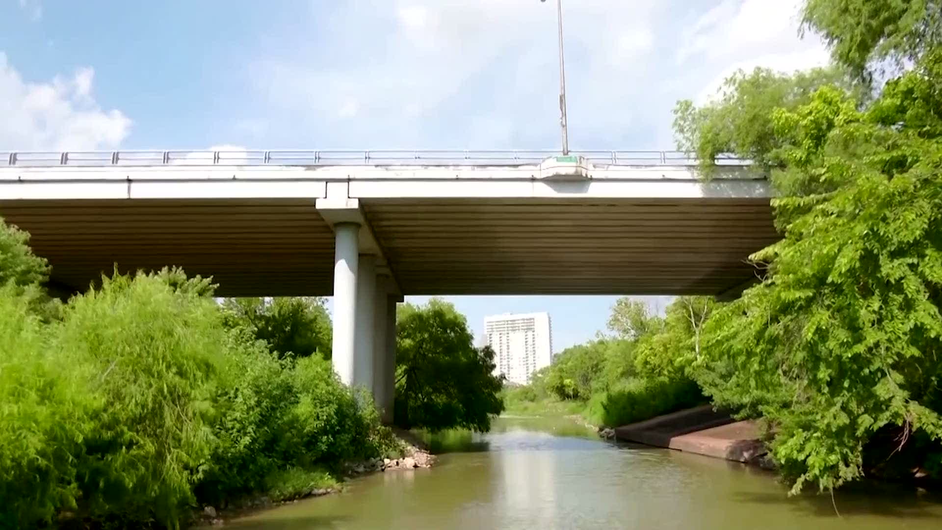 300,000 Bats Live Under Houston Bridge Videos from The Weather Channel