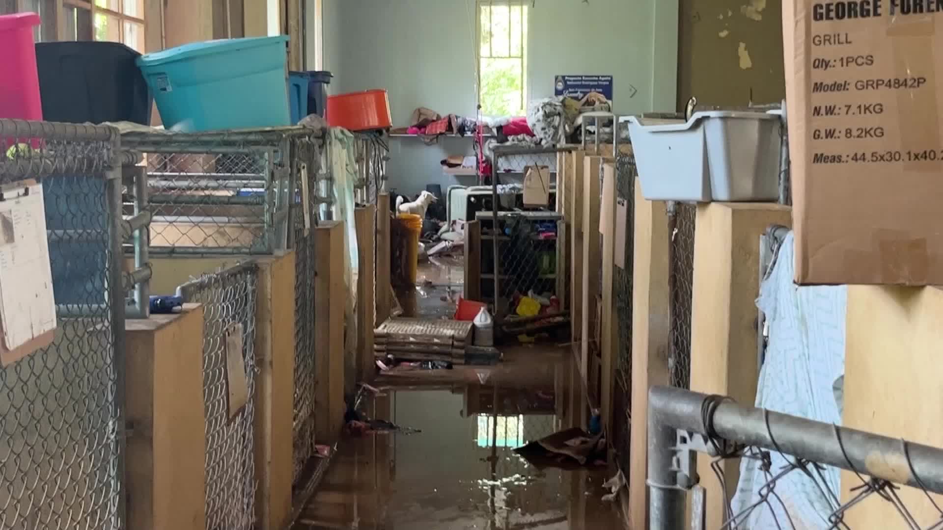 Fiona inunda el refugio de animales Videos de The Weather Channel