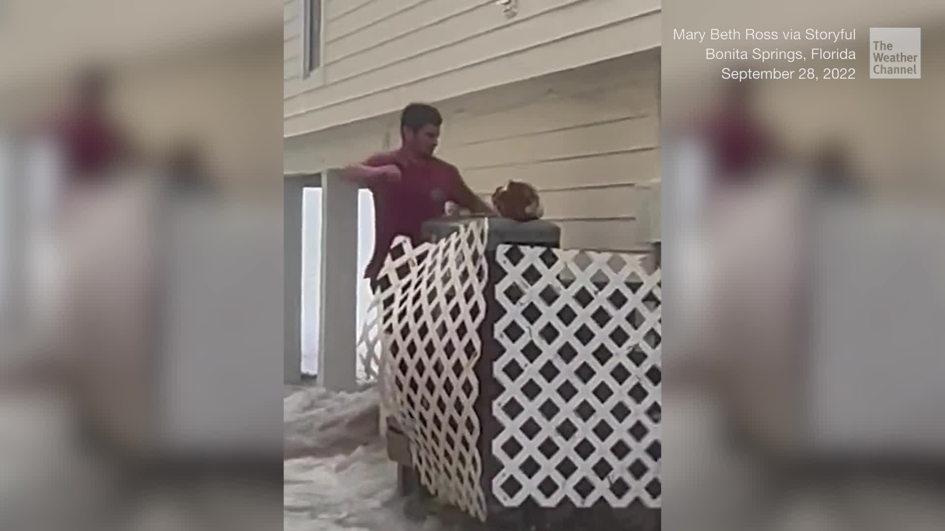 Hurricane Hero Man Saves Cat From Ian’s Storm Surge Videos from The(02)