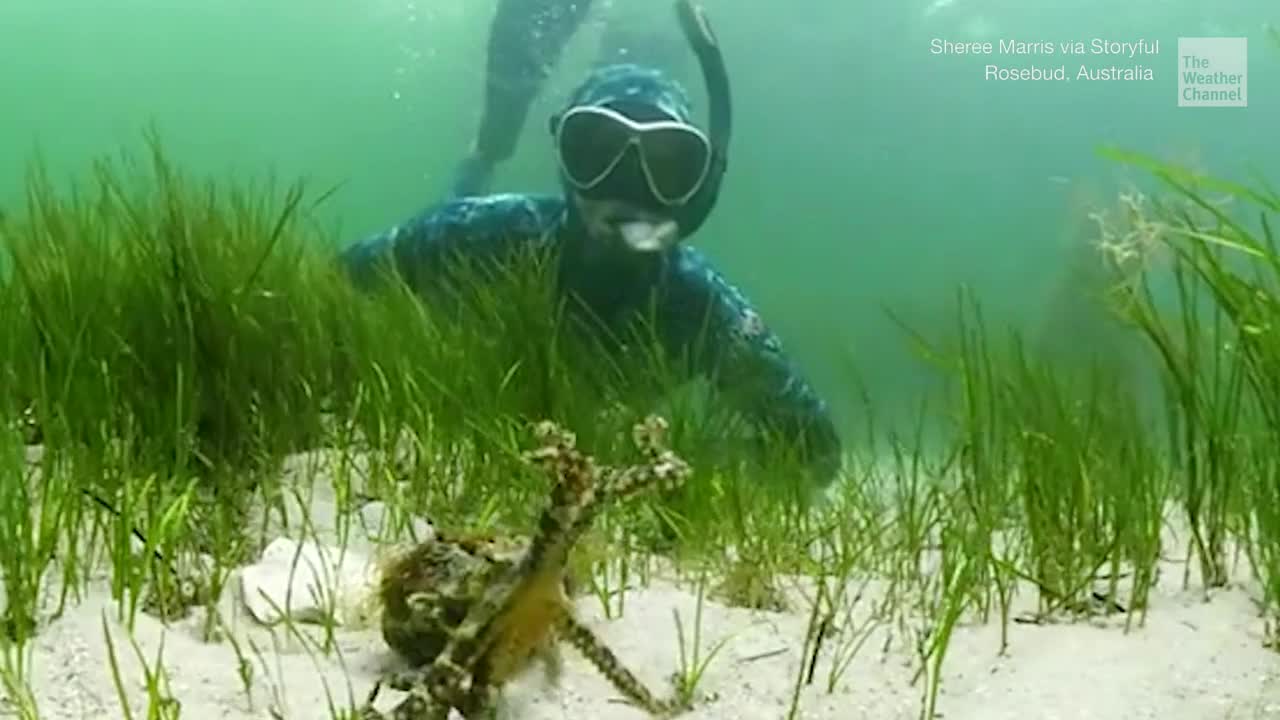 Biologist S Dangerous Looking Selfie Videos From The Weather Channel