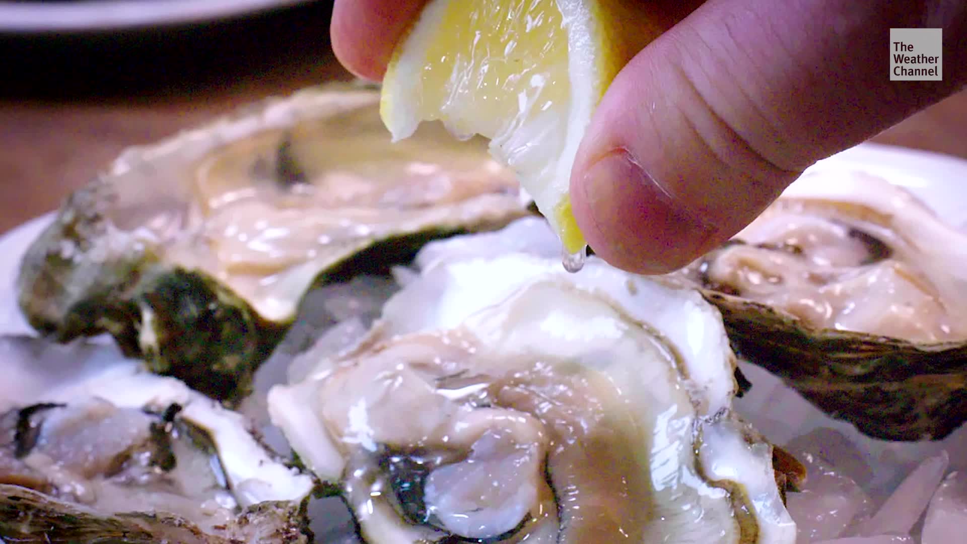 Texas Oyster Recall Underway After Galveston Bay Harvest Sickens Dozens Videos from The