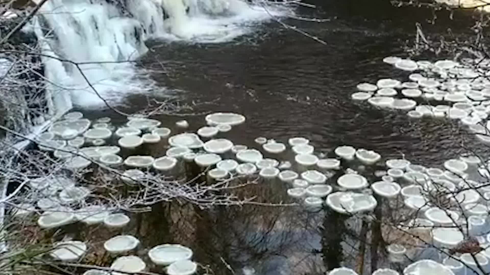 How ‘Pancake Ice’ Forms Videos from The Weather Channel