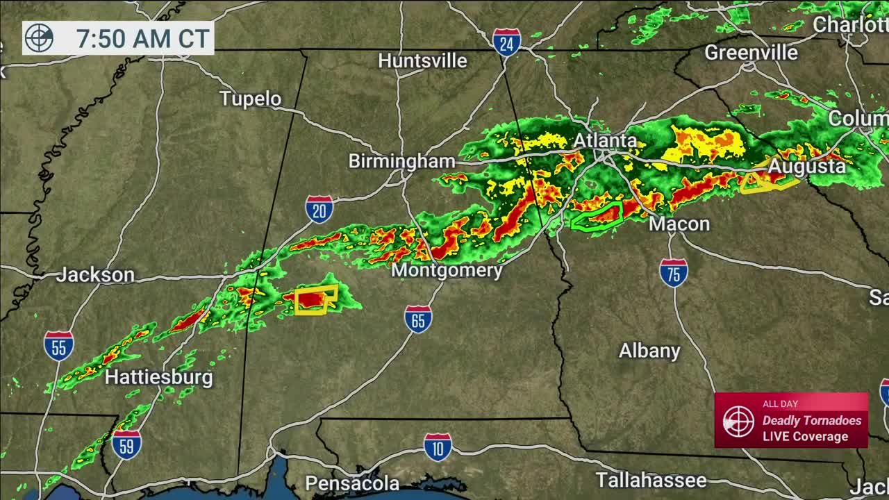 Tiger Missing After Possible Tornado In Videos from The Weather Channel