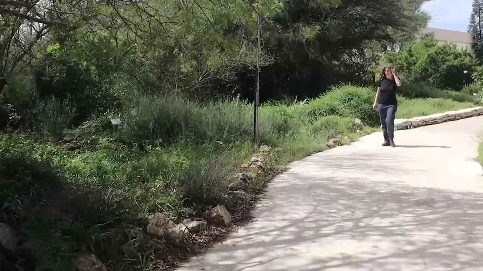 Hear Stressed Plants ‘Scream’ Videos from The Weather Channel