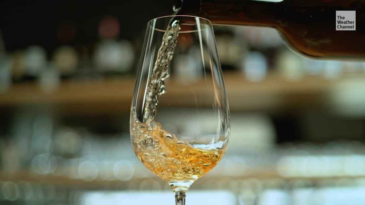 New Study Finds Alcohol Has No Health Benefits Videos from The