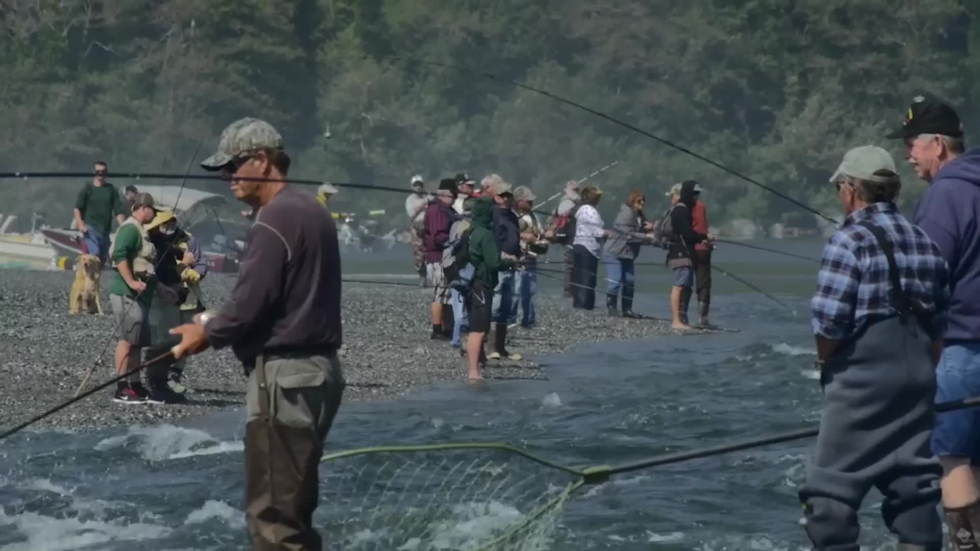CA Could Close Ocean Salmon Fisheries Videos from The Weather Channel