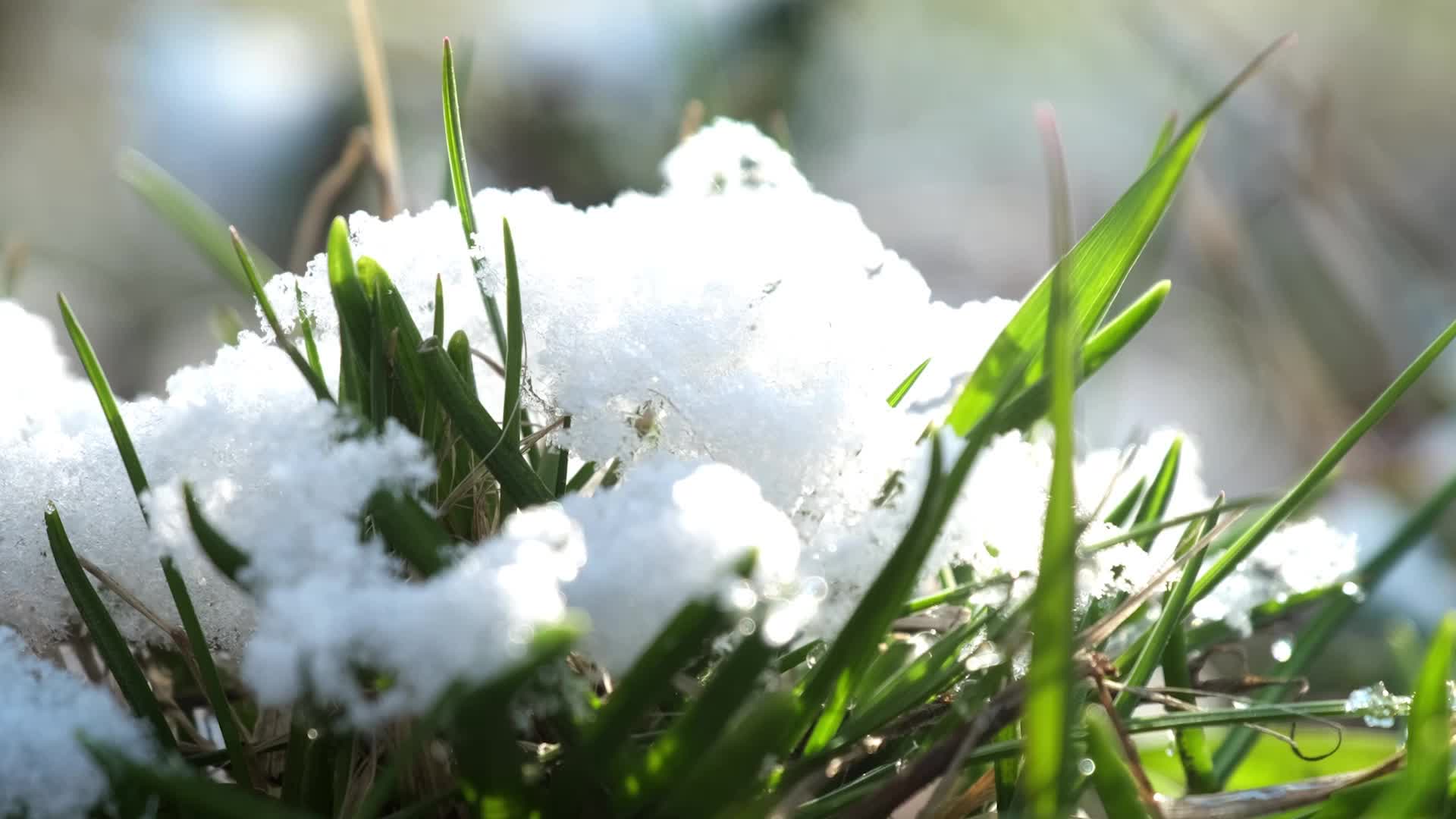 Back To Seasonality? This Weather Pattern Is Breaking The Mold. - kpacci3