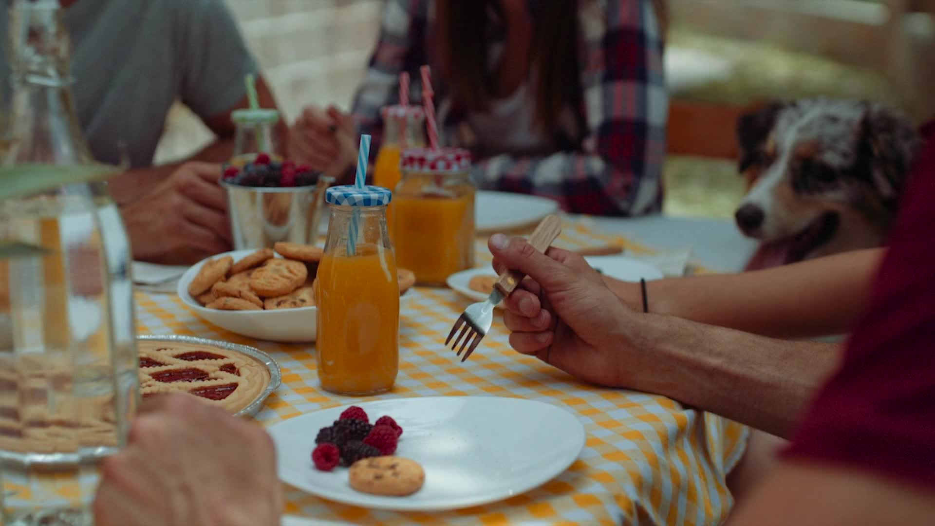 FDA Update Says Dogs Are OK In Outdoor Dining Areas Videos from The