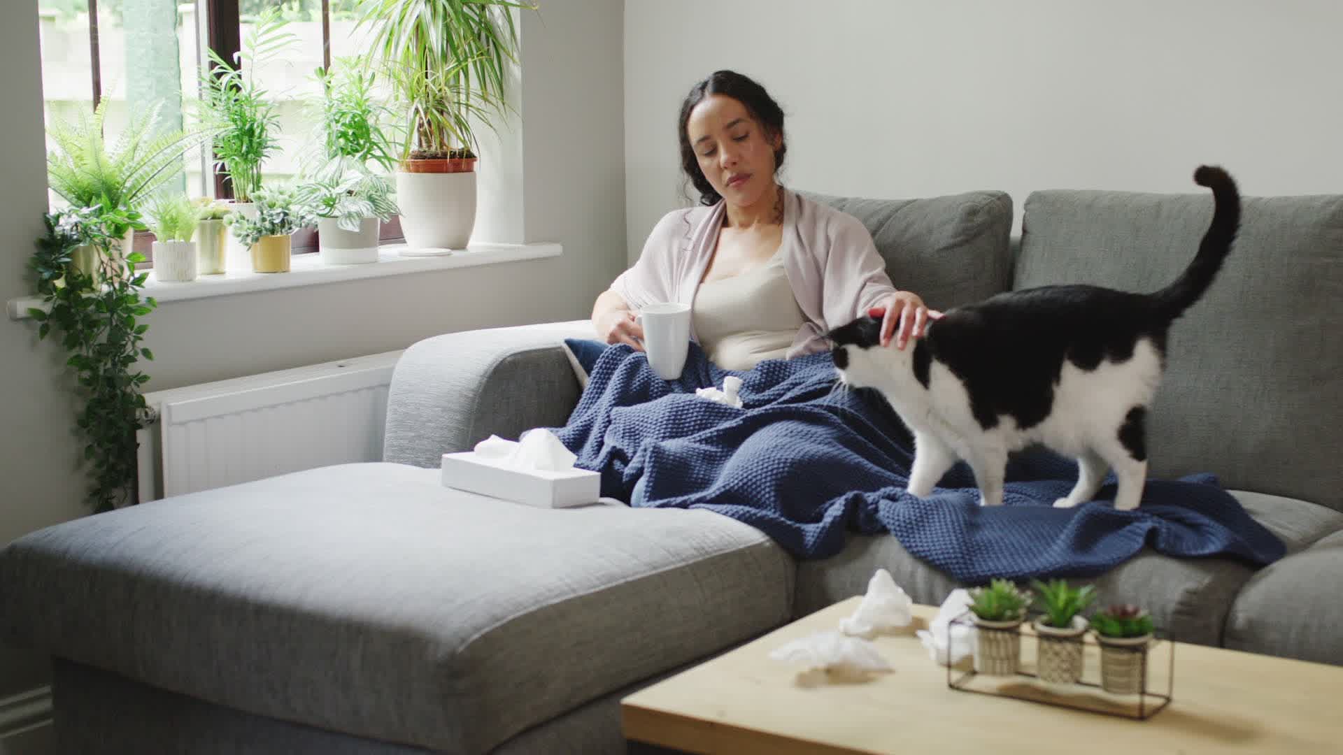 Did You Give Your Cat COVID19? Videos from The Weather Channel