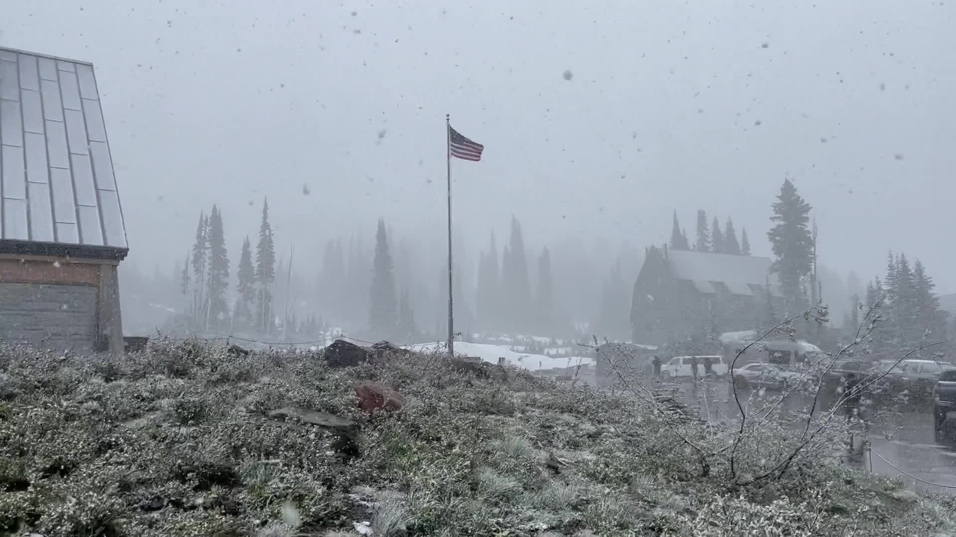 MidJune Snow Falls In Washington Videos from The Weather Channel