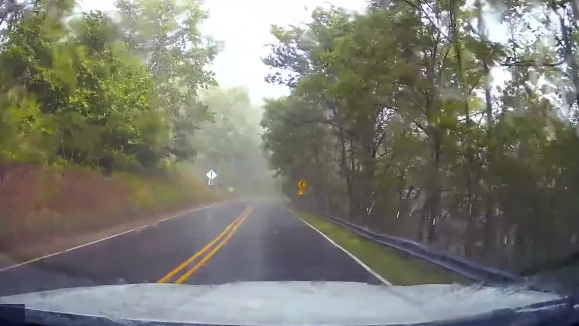 Dash Cam Captures The Moment A Tree Shatters Car’s Windshield Videos