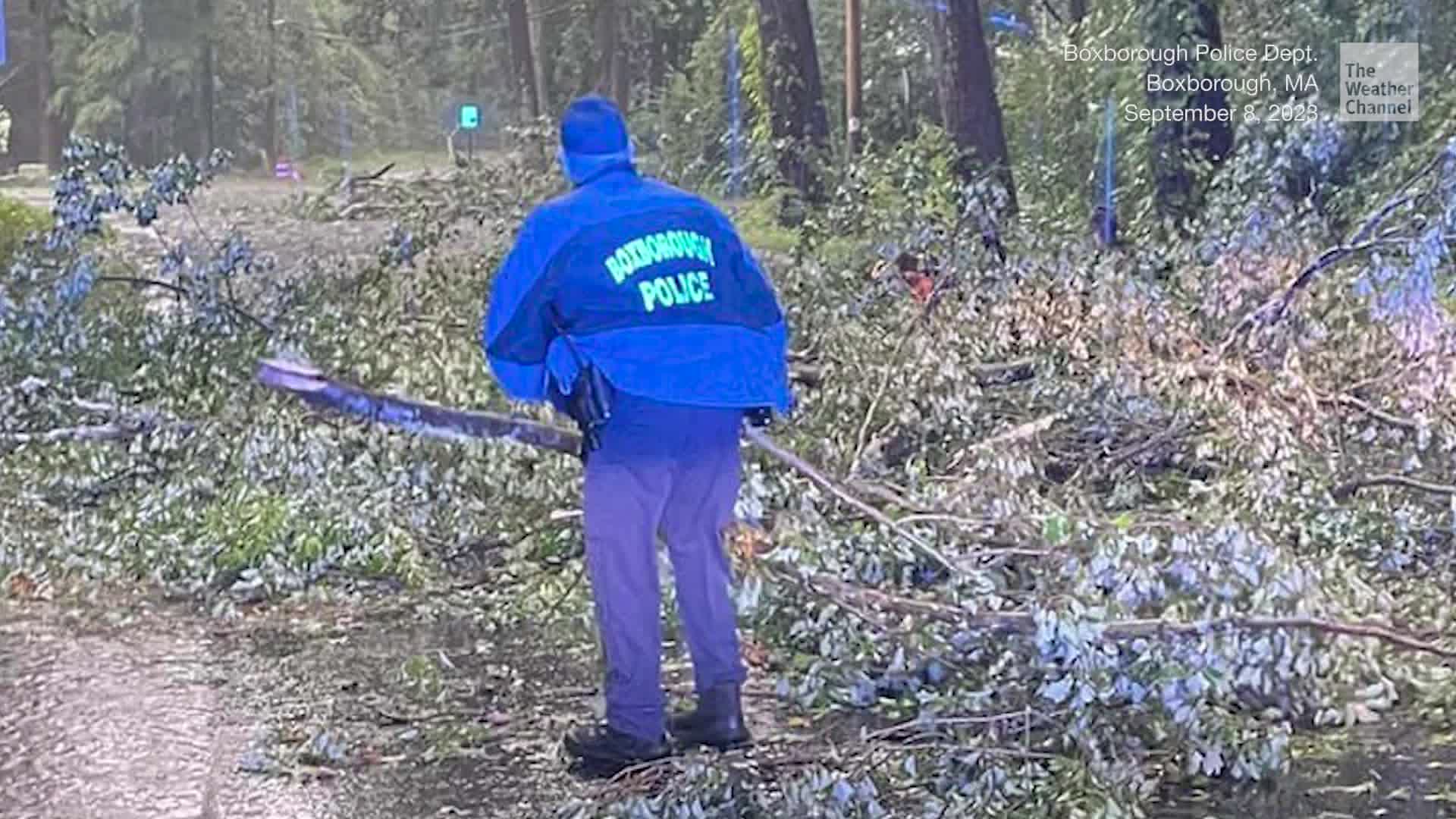 Massachusetts Storms Take Down Trees Videos from The Weather Channel