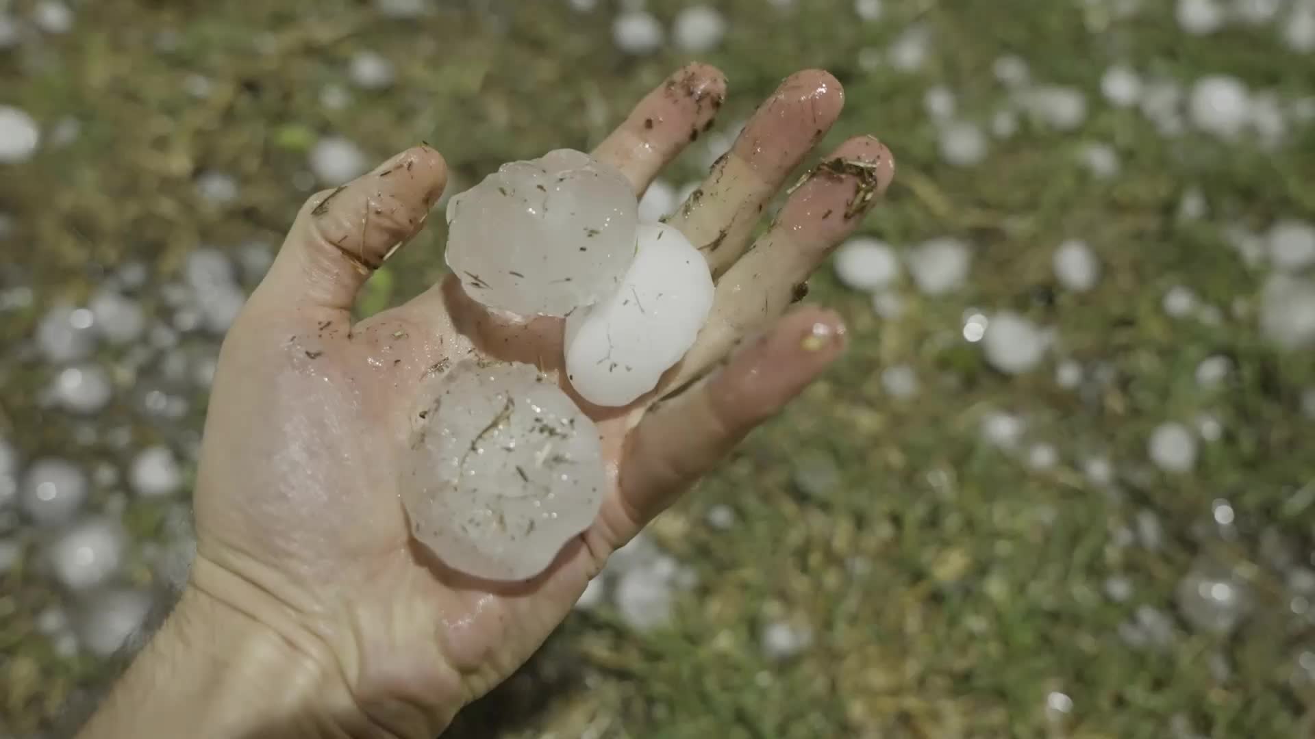BaseballSized Hail Smashes Windshields In TX Videos from The Weather