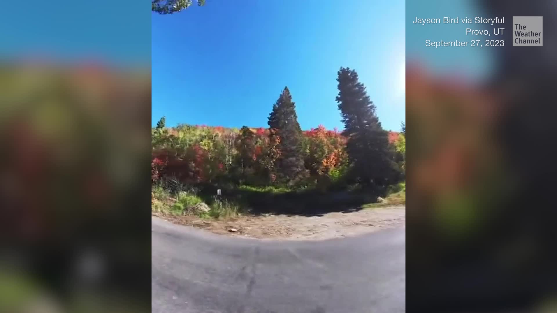 Winding Drive Through Changing UT Foliage Videos from The Weather Channel