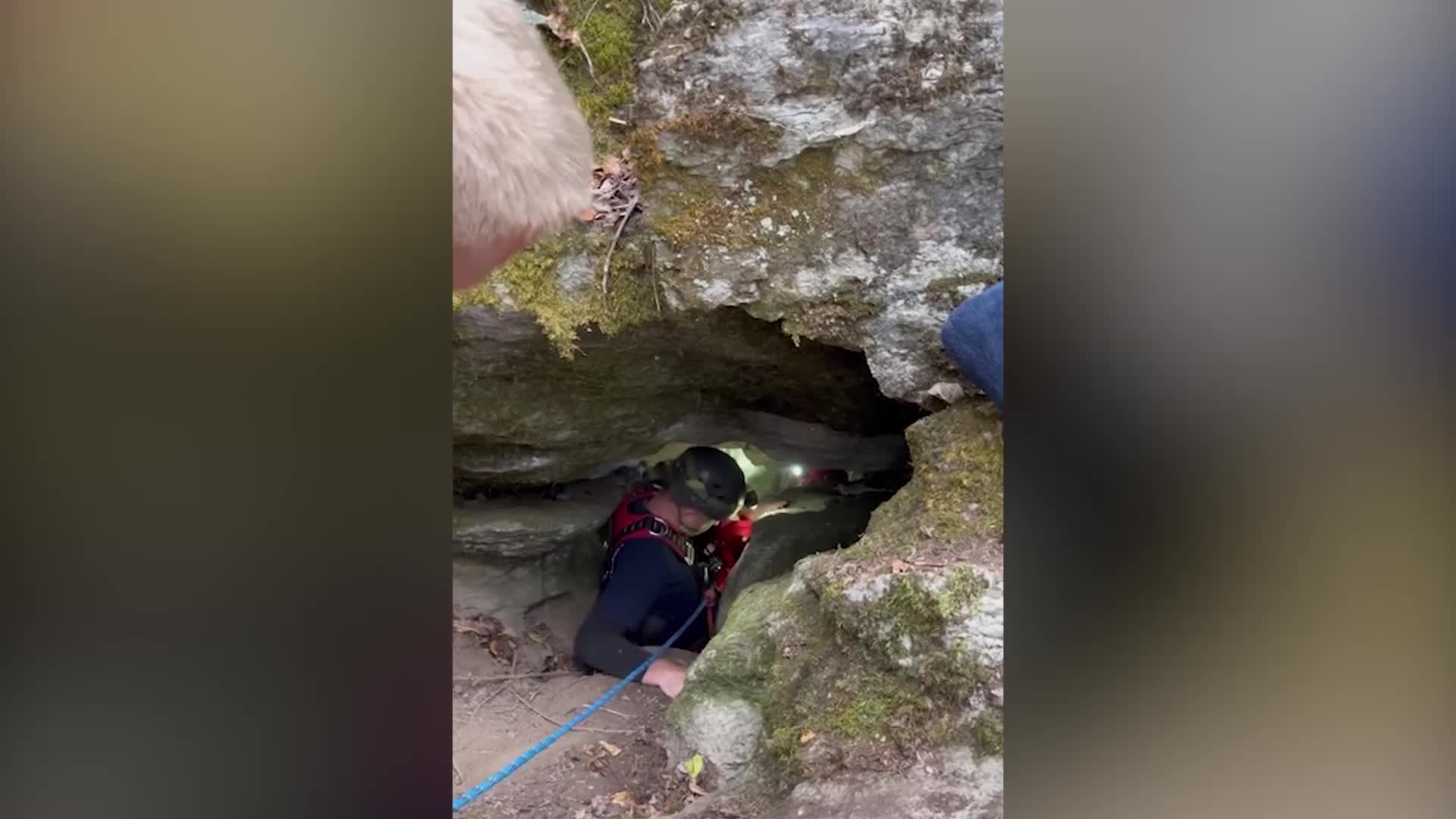 Dog Trapped In Deep Cave For Days Reunited With Owner Videos from The