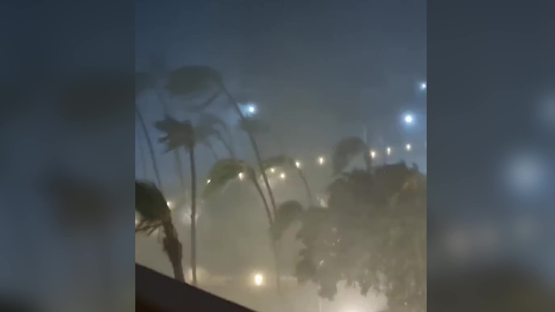 Los poderosos vientos del huracán Otis doblan los árboles. Videos de The Weather Channel
