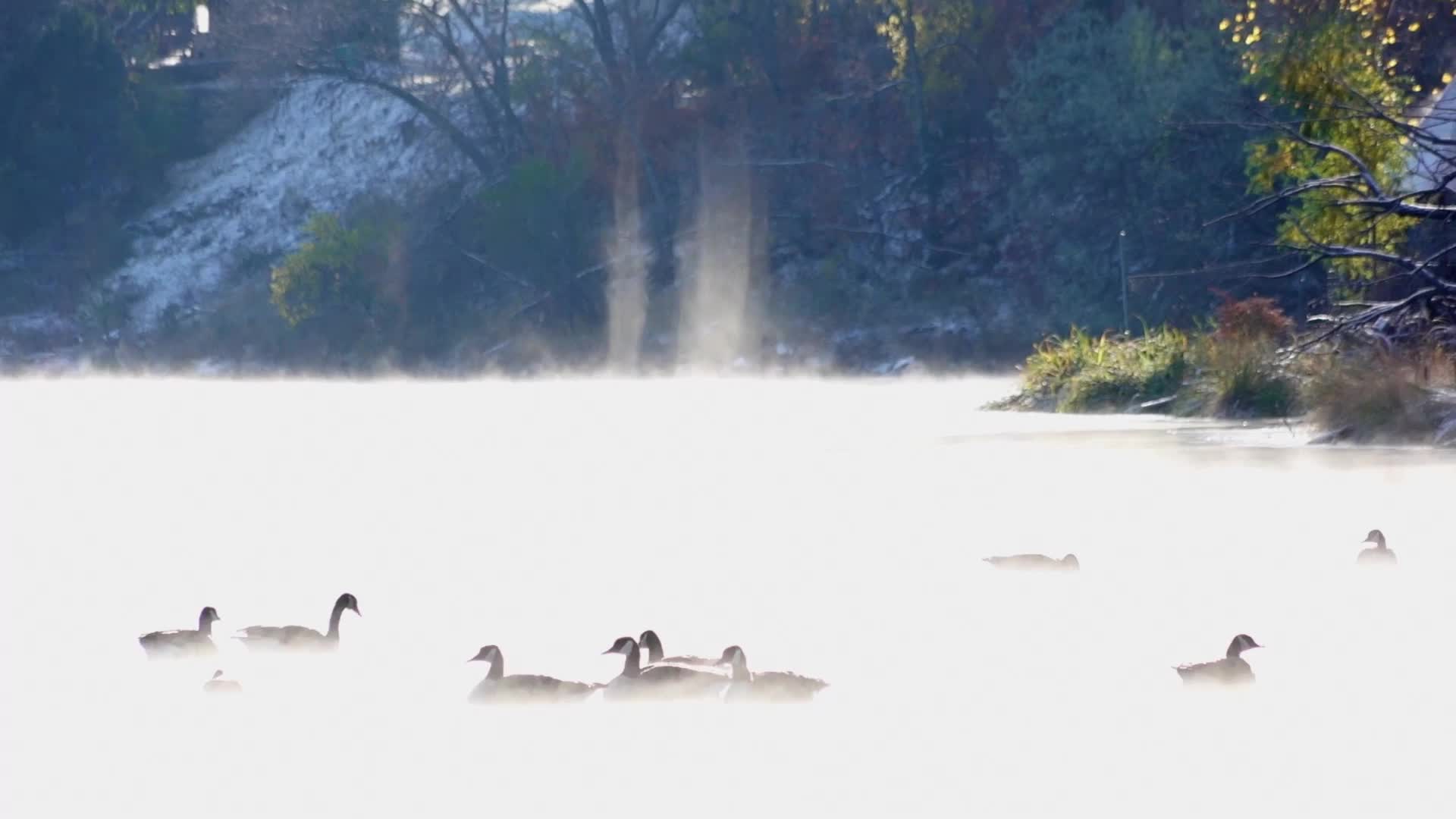 Steam Devils Spin Up Serene Scene Videos from The Weather Channel