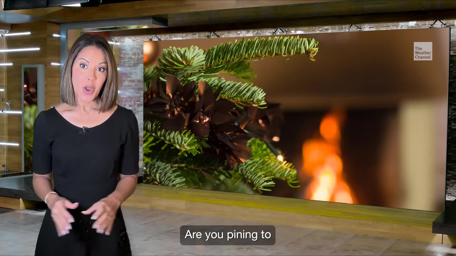 Christmas Tree Costs Rise As Evergreen Prices Increase Videos from