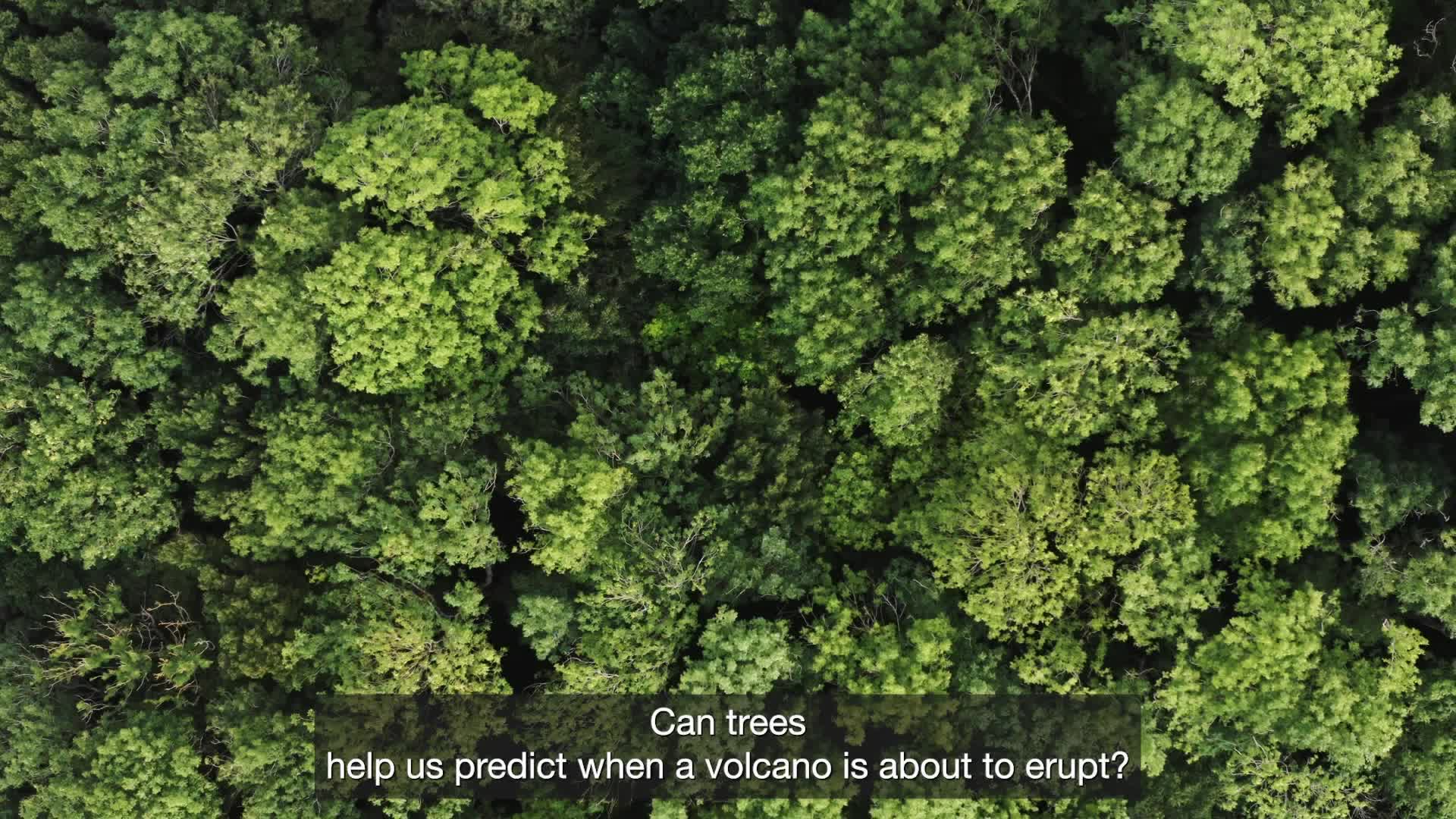 Can Trees Predict Volcanic Eruptions? Videos from The Weather Channel