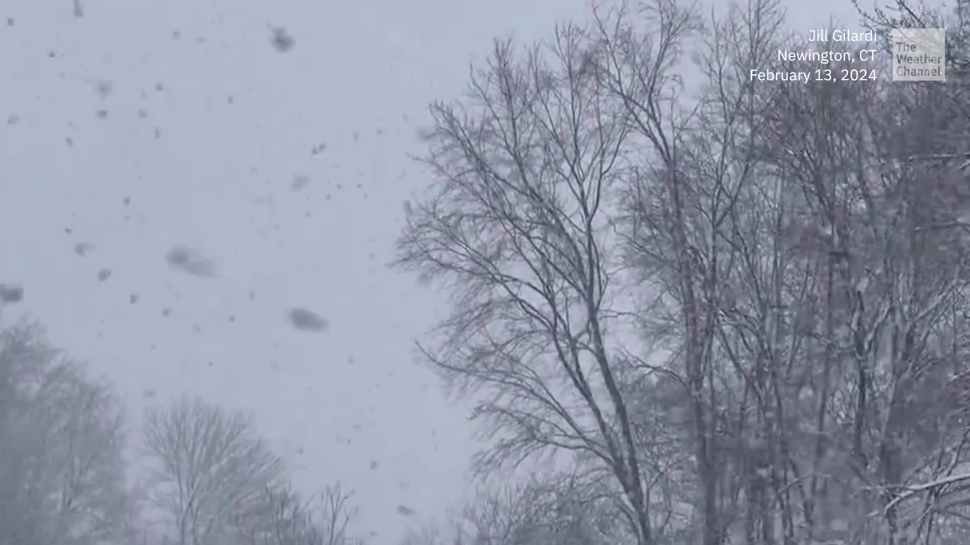 Lorraine Buries Connecticut Under Heavy Snow Videos from The Weather