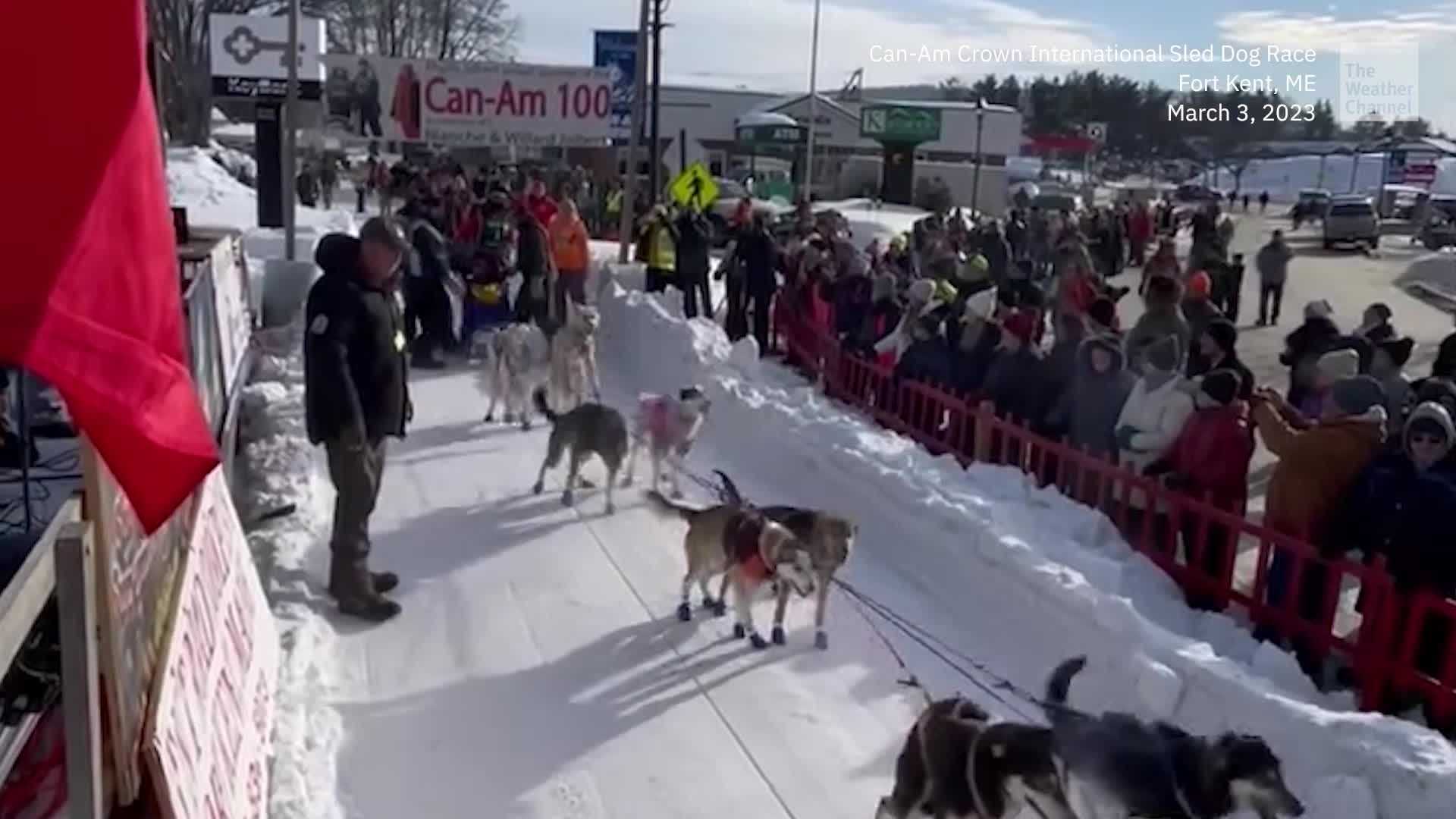 Poca Nieve Cancela la Principal Carrera de Trineos de Maine Videos de The Weather Channel