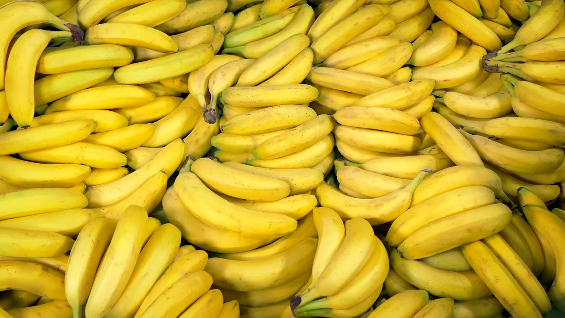 Prices Rise As Bananas Face 'Enormous Threat' Videos from The Weather