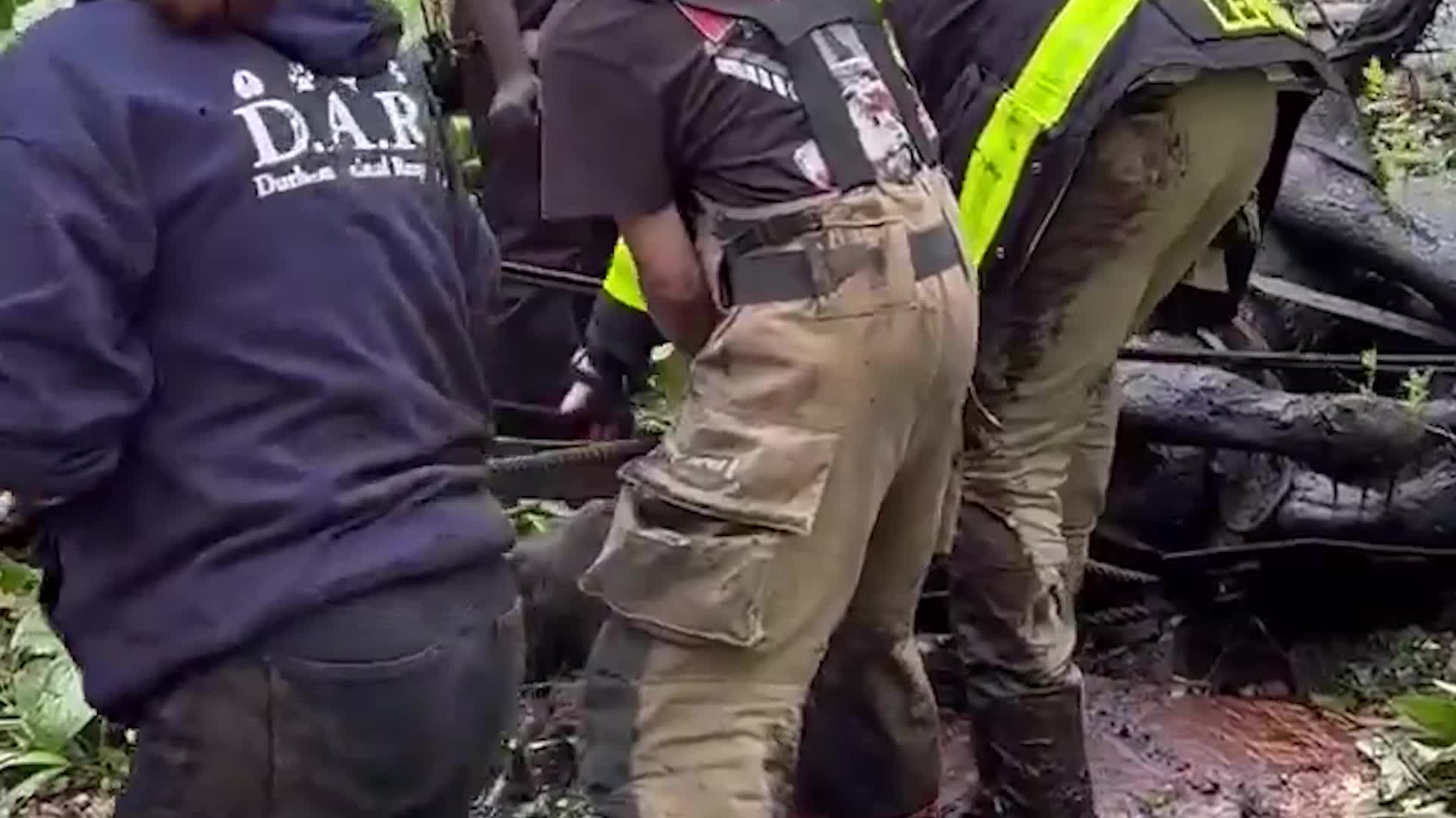 40+ Work Hours To Save Horses Stuck In Mud - Videos from The Weather ...