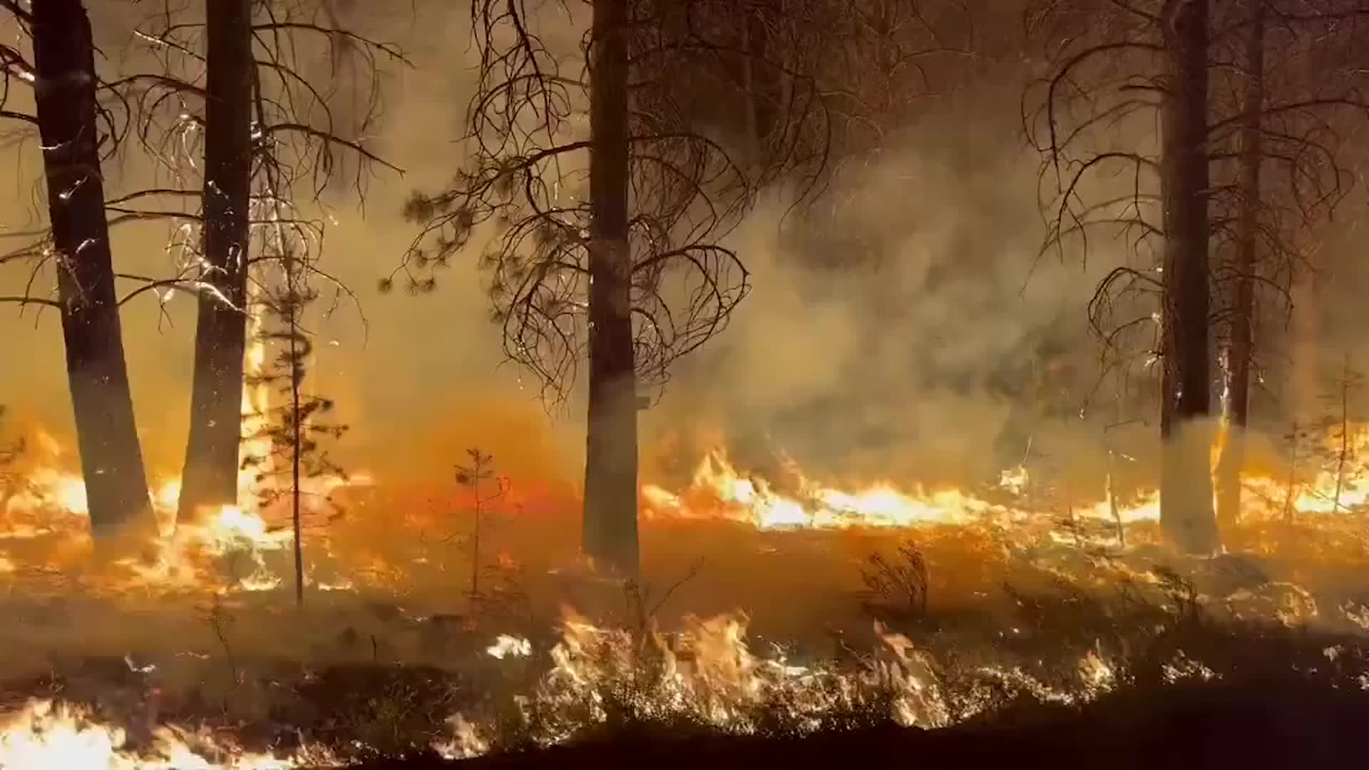 Oregon Wildfire Forces Mass Evacuations - Videos from The Weather Channel