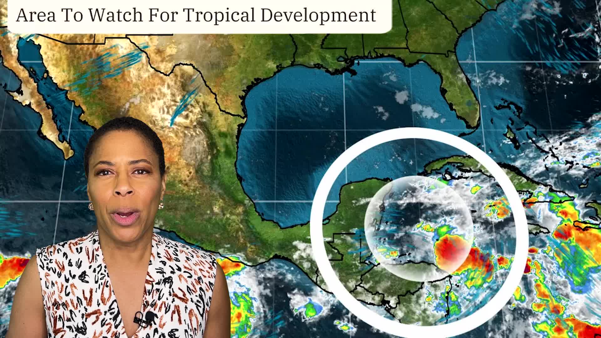 Tropical Development Likely In Gulf This Week - Videos from The Weather ...